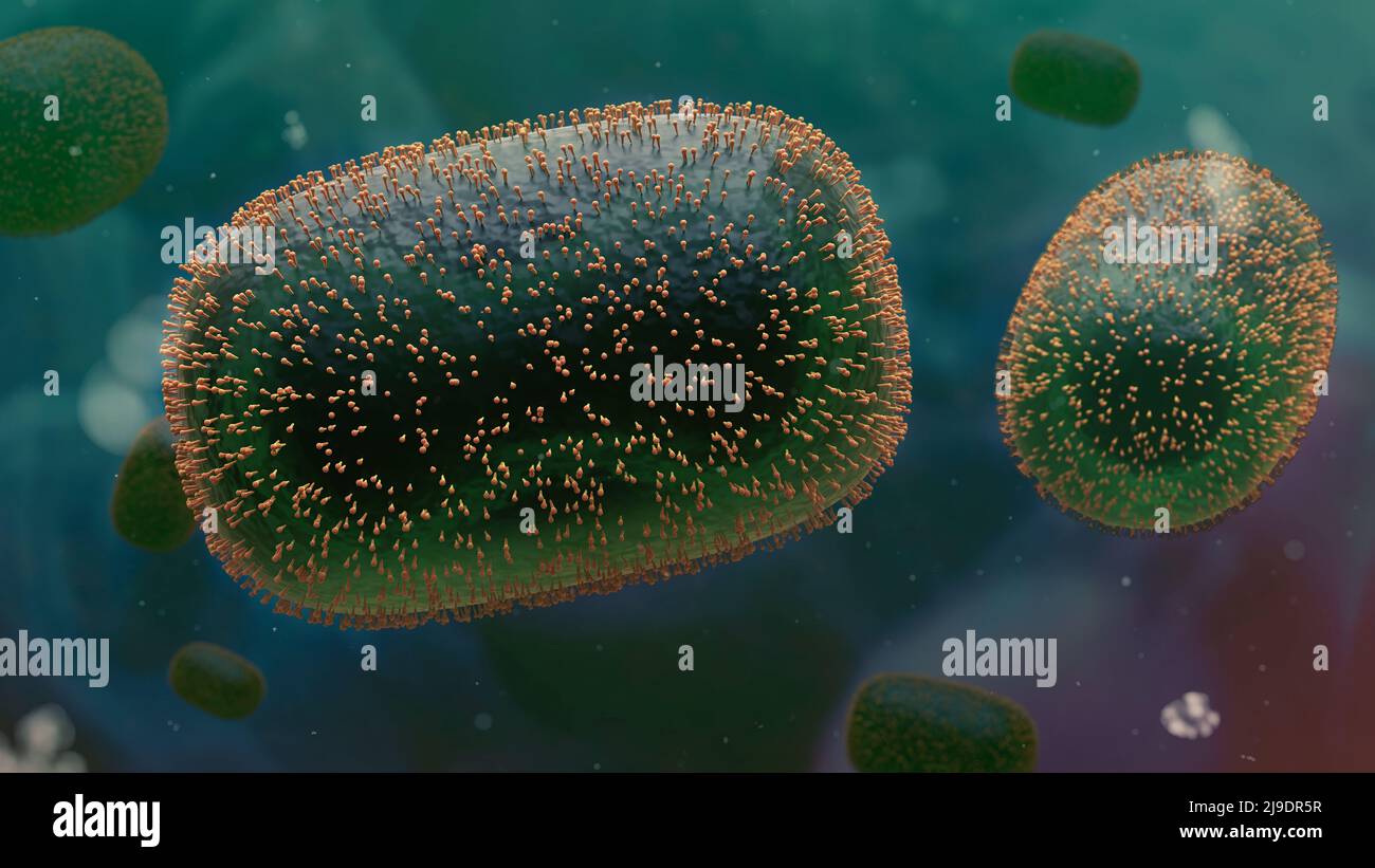 Virus Monkeypox, malattia zoonotica infettiva che causa malattie negli esseri umani e in altri animali Foto Stock