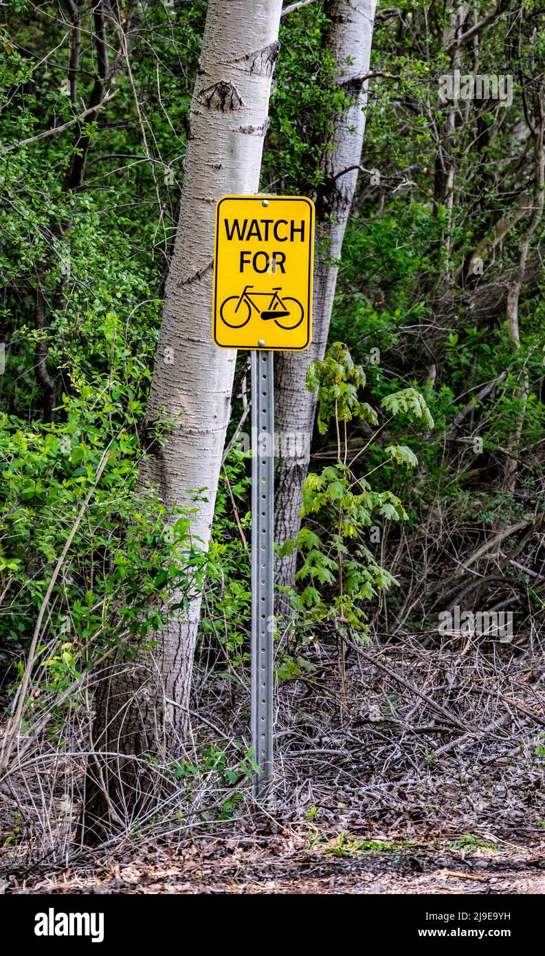 Osserva la bicicletta in un parco pubblico - fotografia di riserva Foto Stock