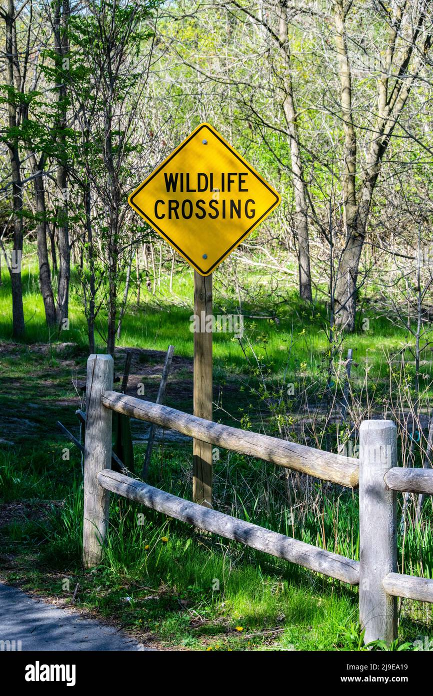 Il cartello "Wildlife Crossing" in un parco pubblico - fotografia di riserva Foto Stock