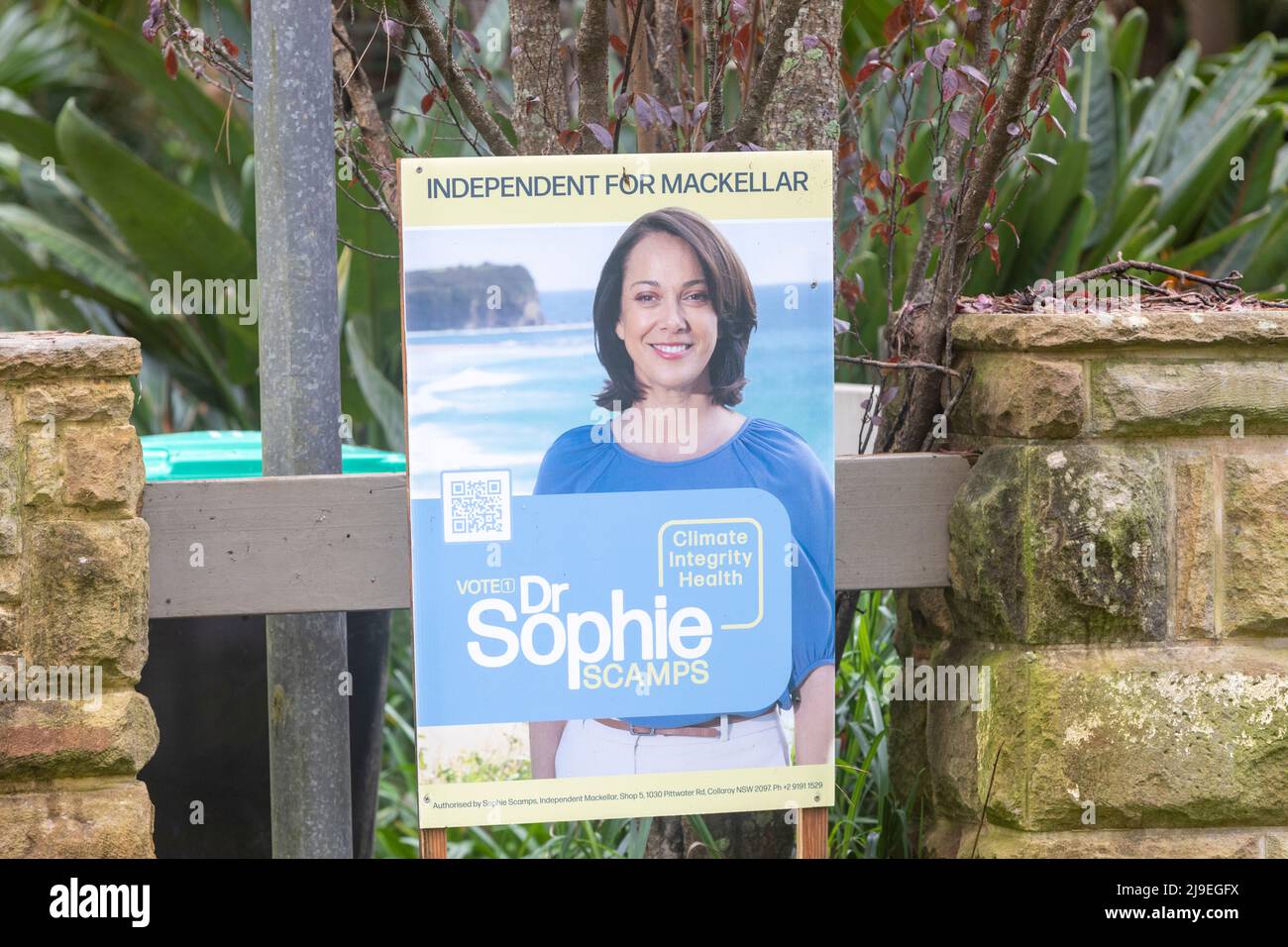 Candidato indipendente il dottor Sophie scamps ha vinto la sede di Mackellar nella regione delle spiagge settentrionali di Sydney, in qualità di candidato indipendente, la signora scamps prende il posto di Jason Falinski del Partito Liberale. Il Partito Liberale aveva tenuto continuamente questo seggio federale sin dalla sua fondazione nel 1949. Credit: martin berry/Alamy Live News Foto Stock