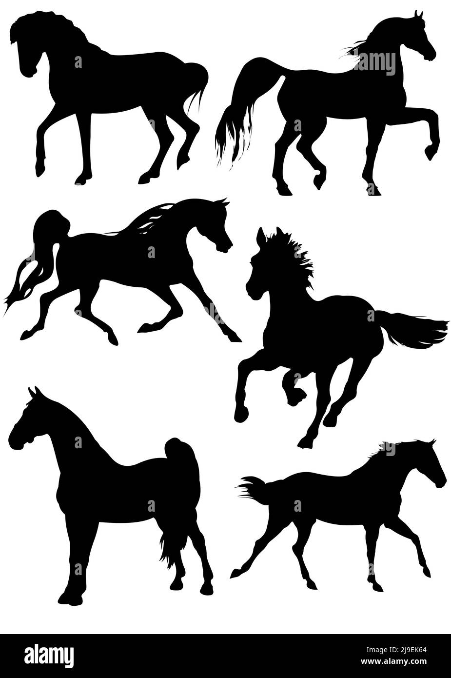 Sei silhouette a cavallo. Illustrazione B&N vettore Illustrazione Vettoriale