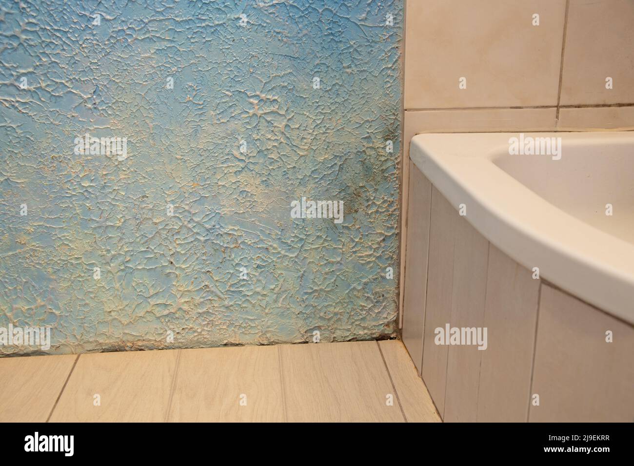 pavimento e box doccia con muffa da acqua e umidità sul muro in angolo, riparazioni in bagno, muffa e muffa sul muro nel bagno Foto Stock
