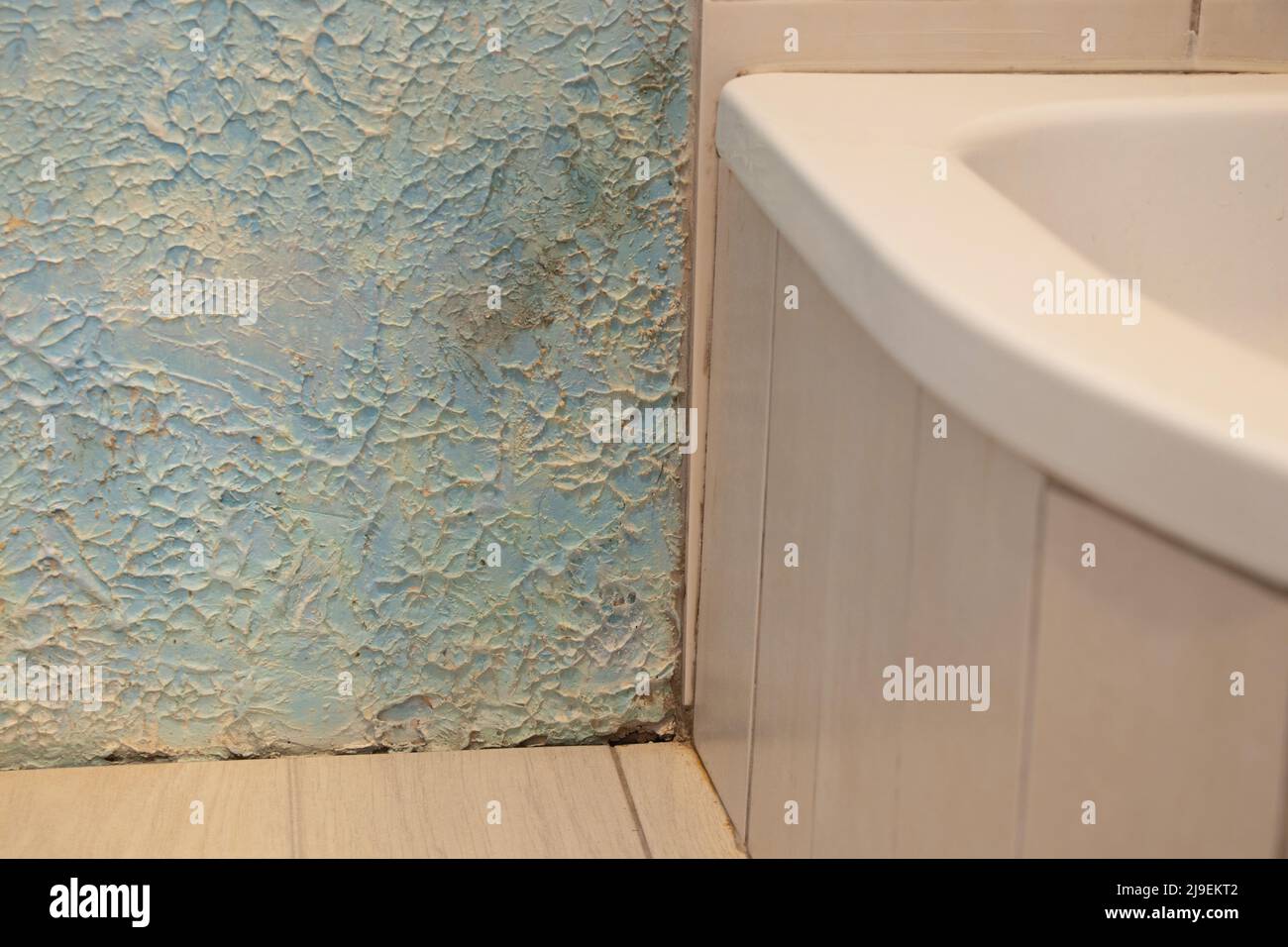 pavimento e box doccia con muffa da acqua e umidità sul muro in angolo, riparazioni in bagno, muffa e muffa sul muro nel bagno Foto Stock