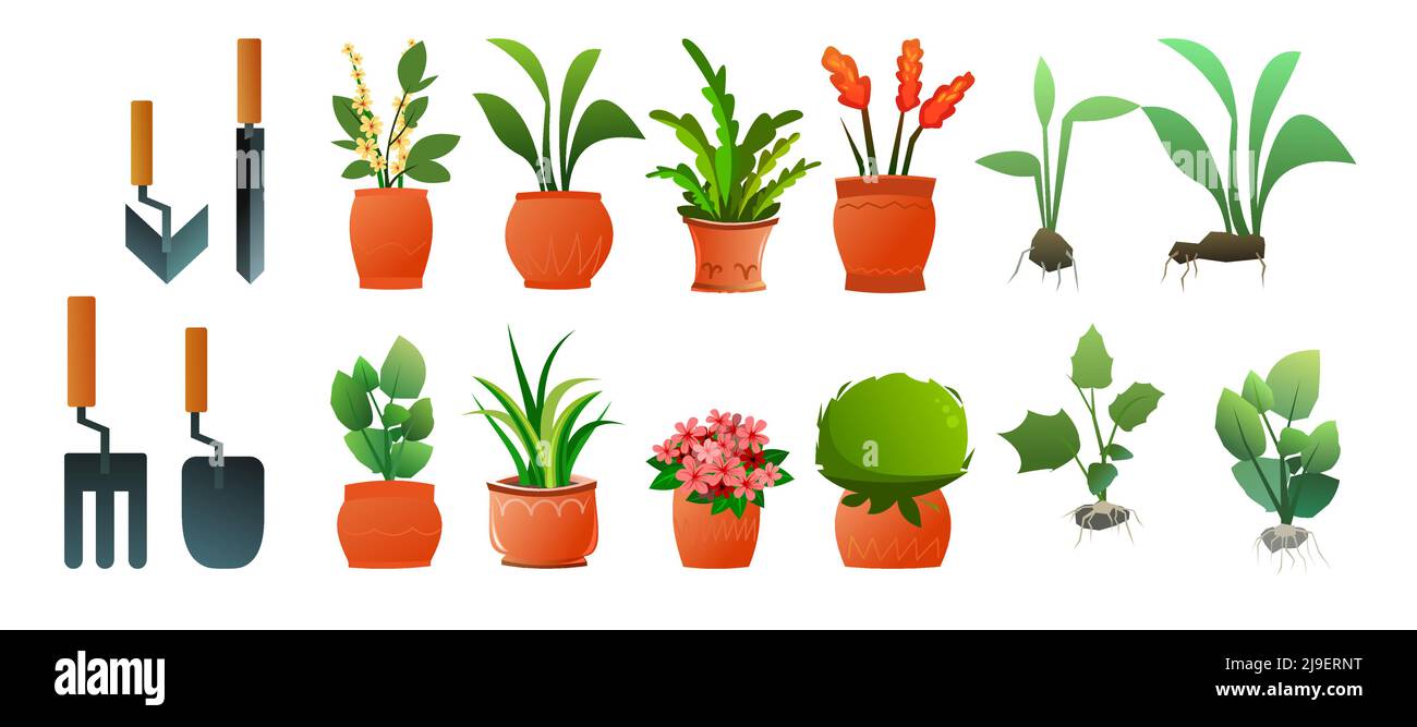 Set di piante e fiori interni. Attrezzi di giardino e piantine. In pentole di ceramica. Belle erbe fatte in casa. Isolato su sfondo bianco. Cartoon divertimento sty Illustrazione Vettoriale