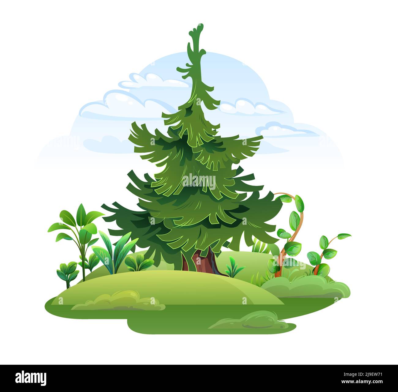 Pino. Abete rosso conifere. Stile cartoon paesaggio. Isolato su sfondo bianco. Vettore. Illustrazione Vettoriale