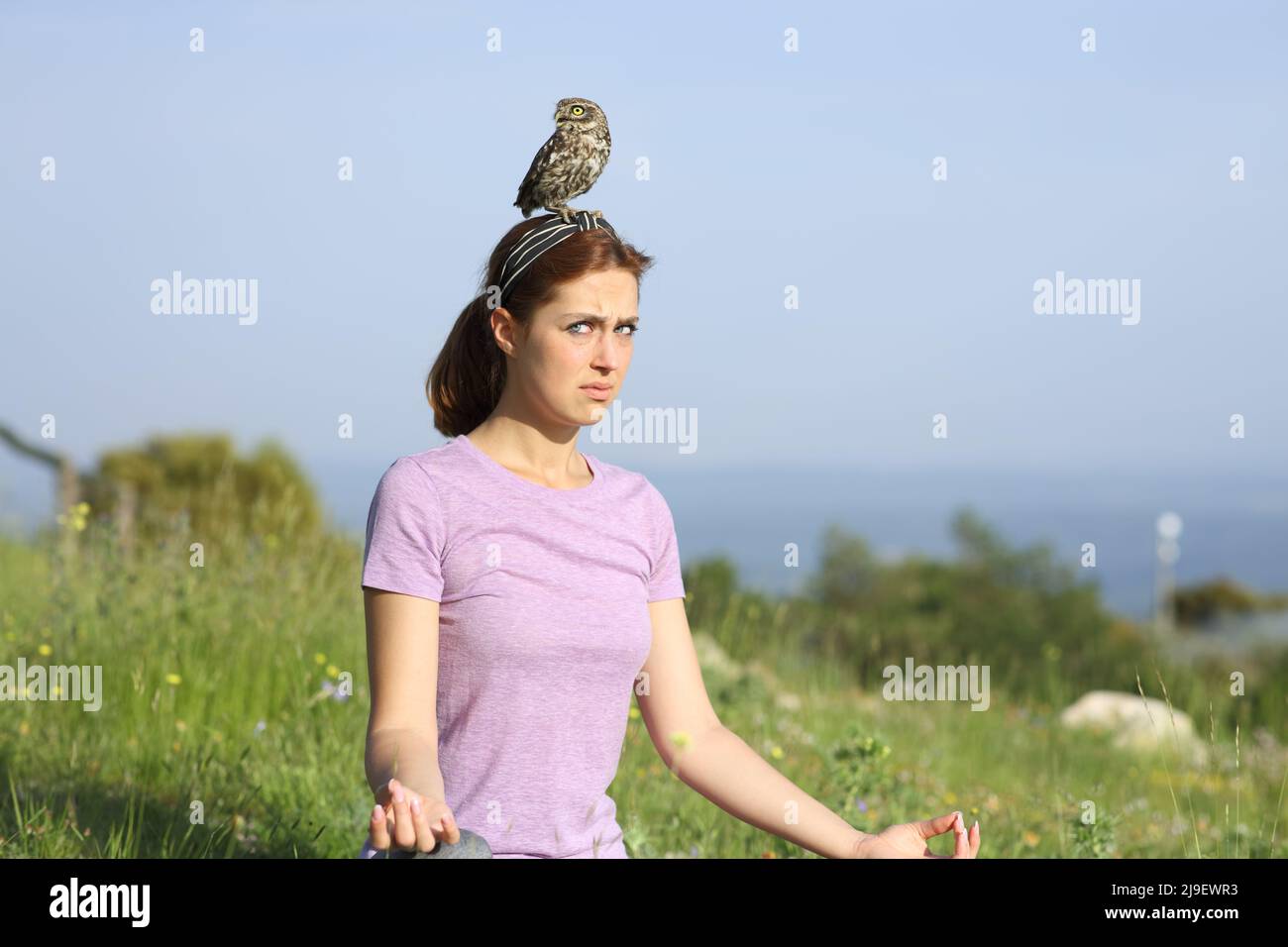 Yogi è distratto da un uccello sulla sua testa cercando di fare yoga in un prato Foto Stock