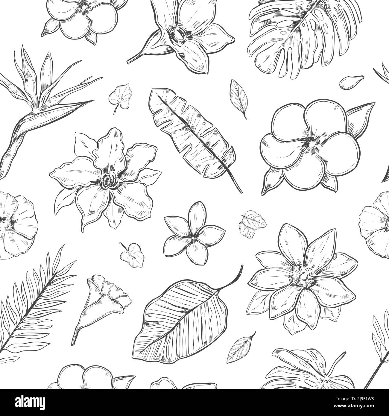 Piante esotiche disegnate a mano motivo senza giunture con bellissimi fiori naturali e le lamelle nell'illustrazione vettoriale in stile monocromatico Illustrazione Vettoriale