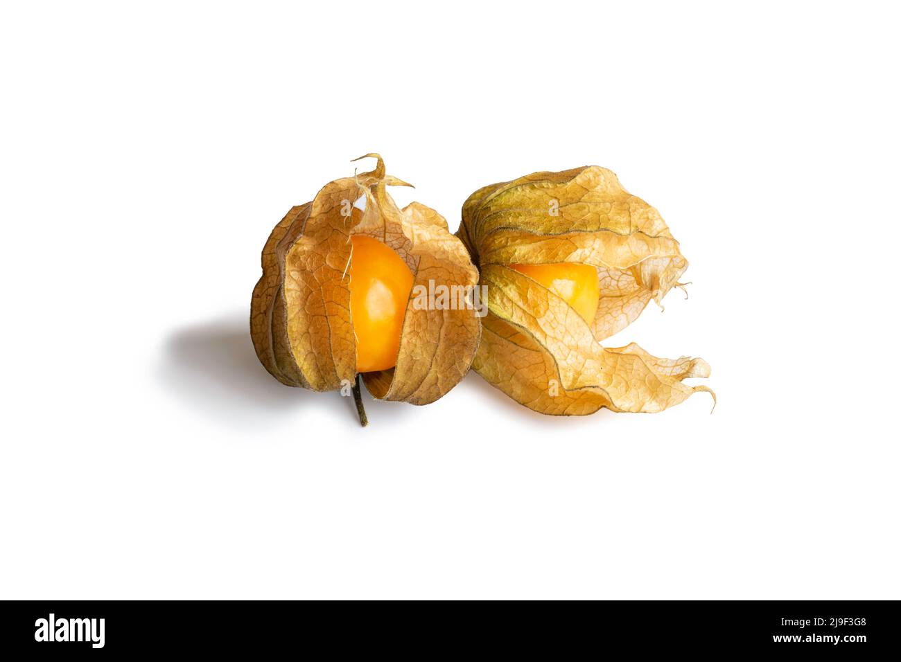 Gruppo di bacche di physalis isolate su sfondo bianco. Due frutti di physalis aranciati maturi Foto Stock