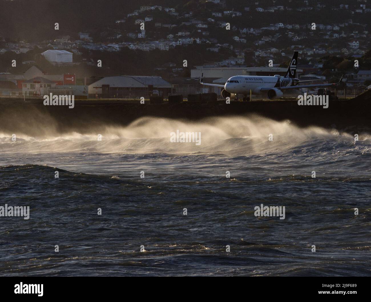 Aerei della Nuova Zelanda all'Aeroporto di Wellington in una giornata ventosa Foto Stock