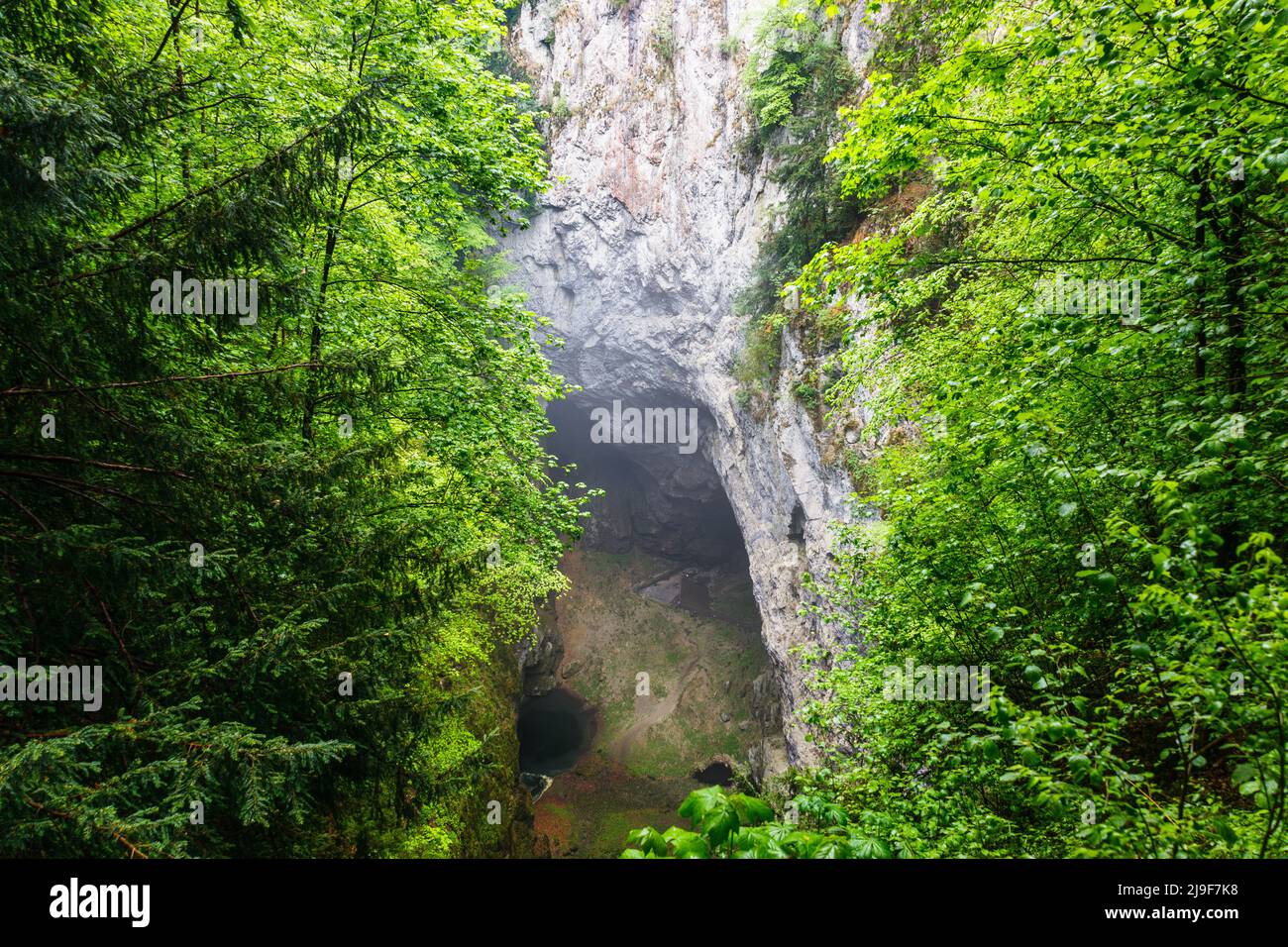 Macocha Gorge o Macocha Abyss. Buco nel sistema di grotte del Carso Moravo Punkva Foto Stock