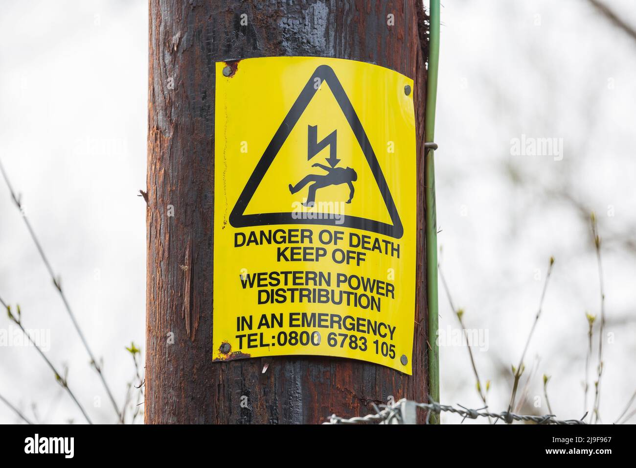 Un triangolo giallo pericolo di morte, tenere fuori il segno di elettricità (Western Power Distribution) isolato all'aperto su un palo nella campagna del Regno Unito. Foto Stock