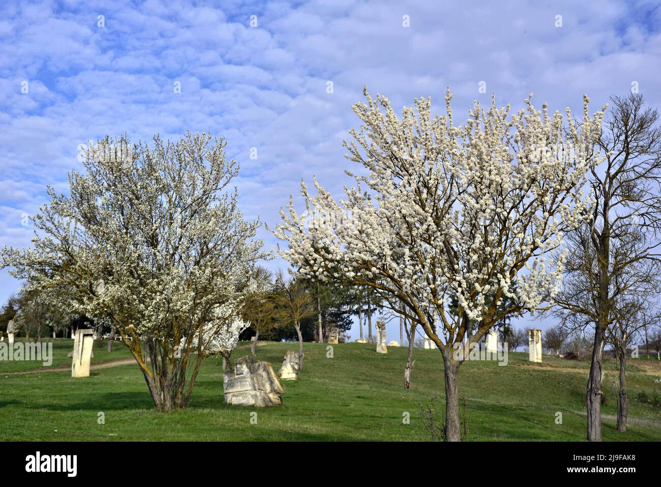 Cimitero commemorativo di Oarba de Mures Foto Stock