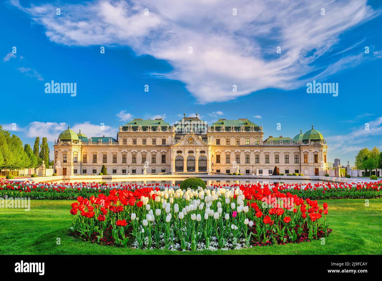 Vienna Austria skyline della città al Palazzo Belvedere e bellissimo tulipano fiore Foto Stock