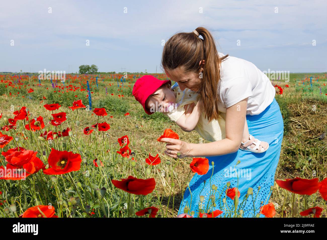 Una madre che mostra fiori di papavero rosso brillante al suo bambino piccolo Foto Stock