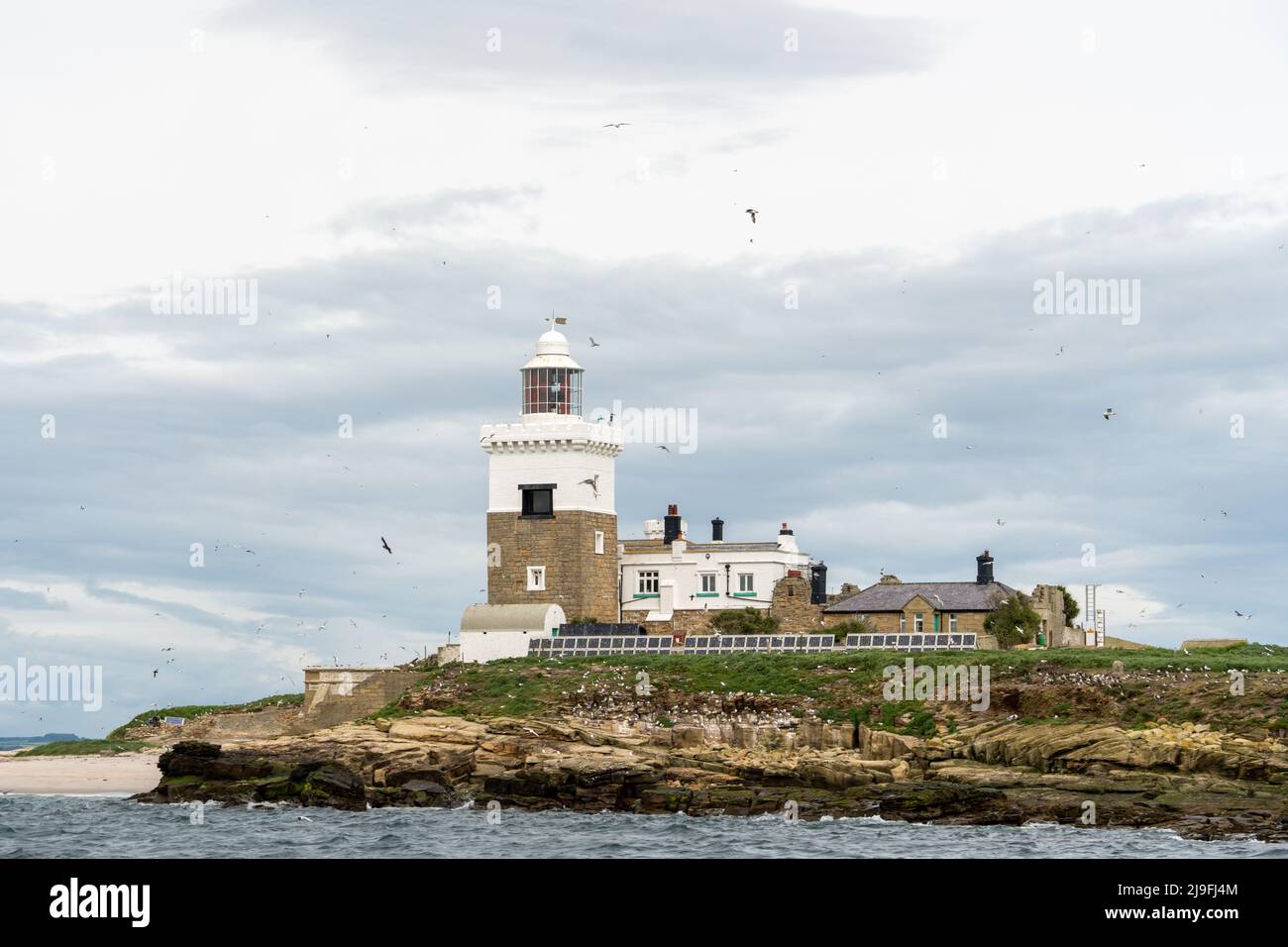 Vista sul faro di Coquet Island, Northumberland, Regno Unito. Che è una riserva naturale che ospita foche grigie e molti uccelli marini. Foto Stock