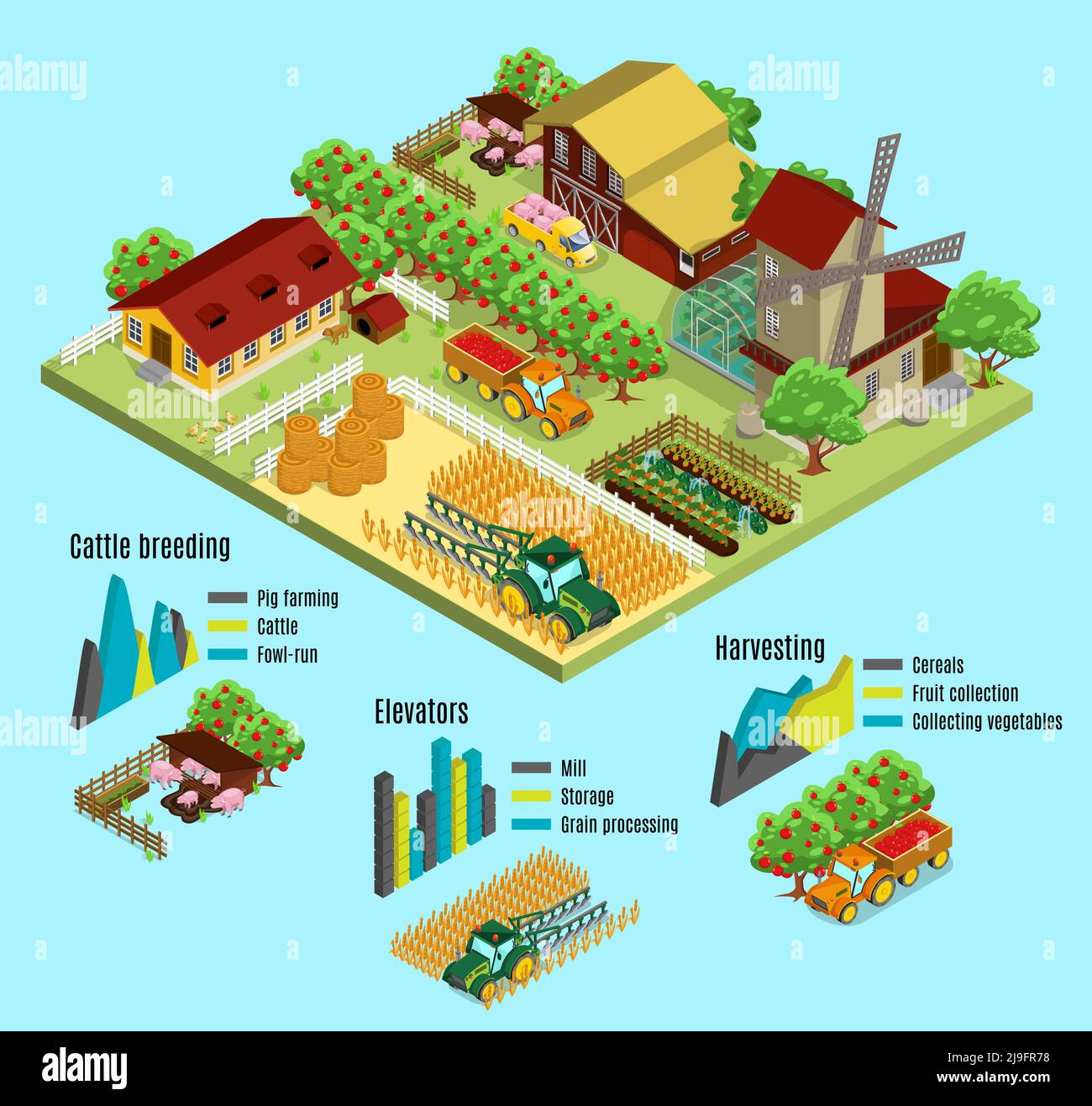 Concetto infografico di fattoria isometrica con gli allevatori di animali del fienile della casa processo di raccolta trasporto serra fieno grafici isolato vettore illustrativo Illustrazione Vettoriale