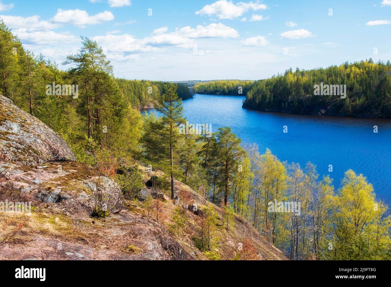 Rocce con una pineta sopra l'acqua di un lago o il Golfo di Finlandia. Scoiattolo rocce in chiaro giorno di sole Foto Stock