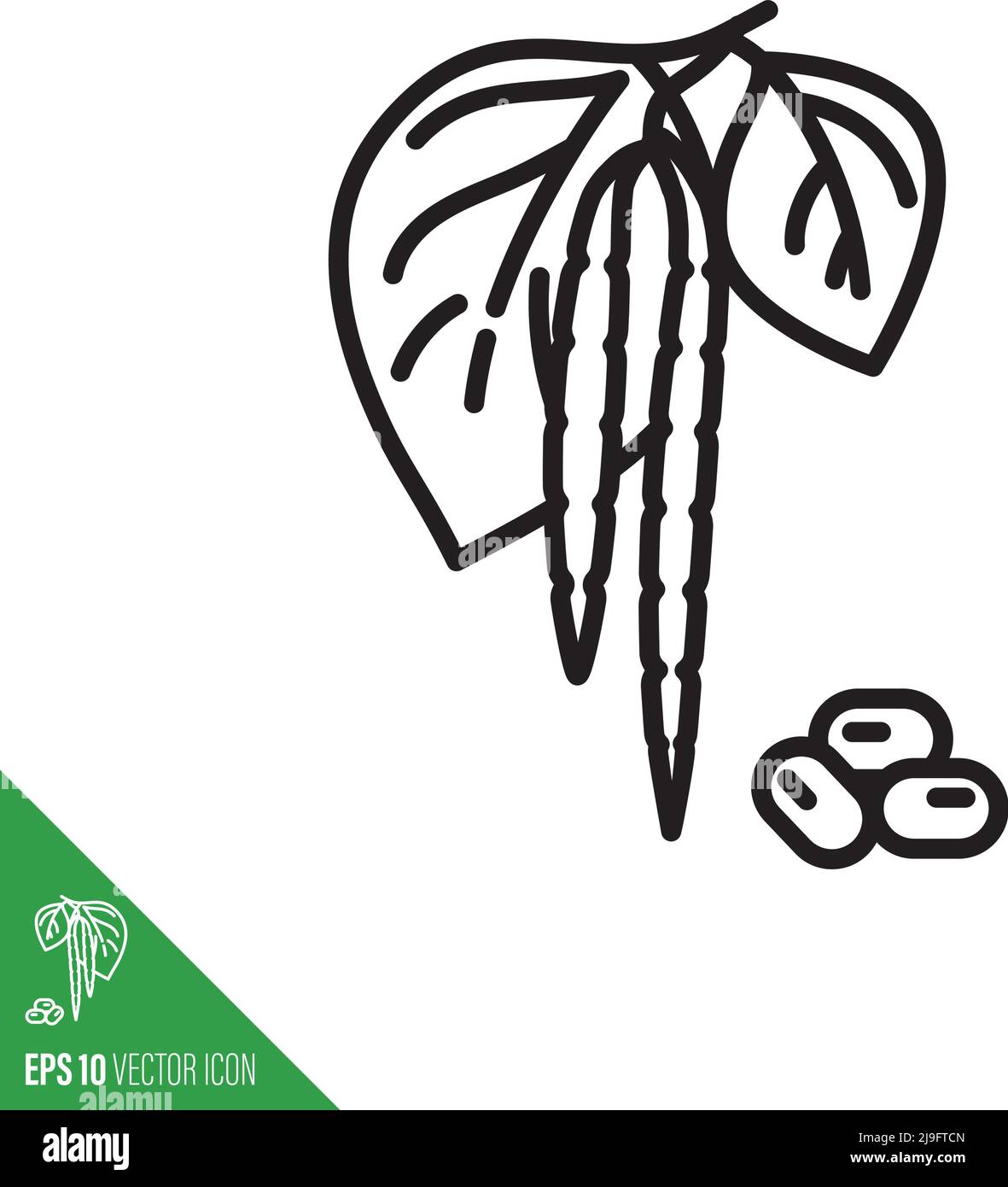 Azuki fagioli e ramo con foglie e pod legume icona vegetale, contorno stile illustrazione vettoriale Illustrazione Vettoriale