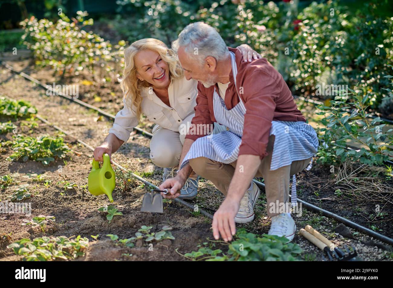Donna con annaffiatura può abbracciare l'uomo scuotendo terra Foto Stock