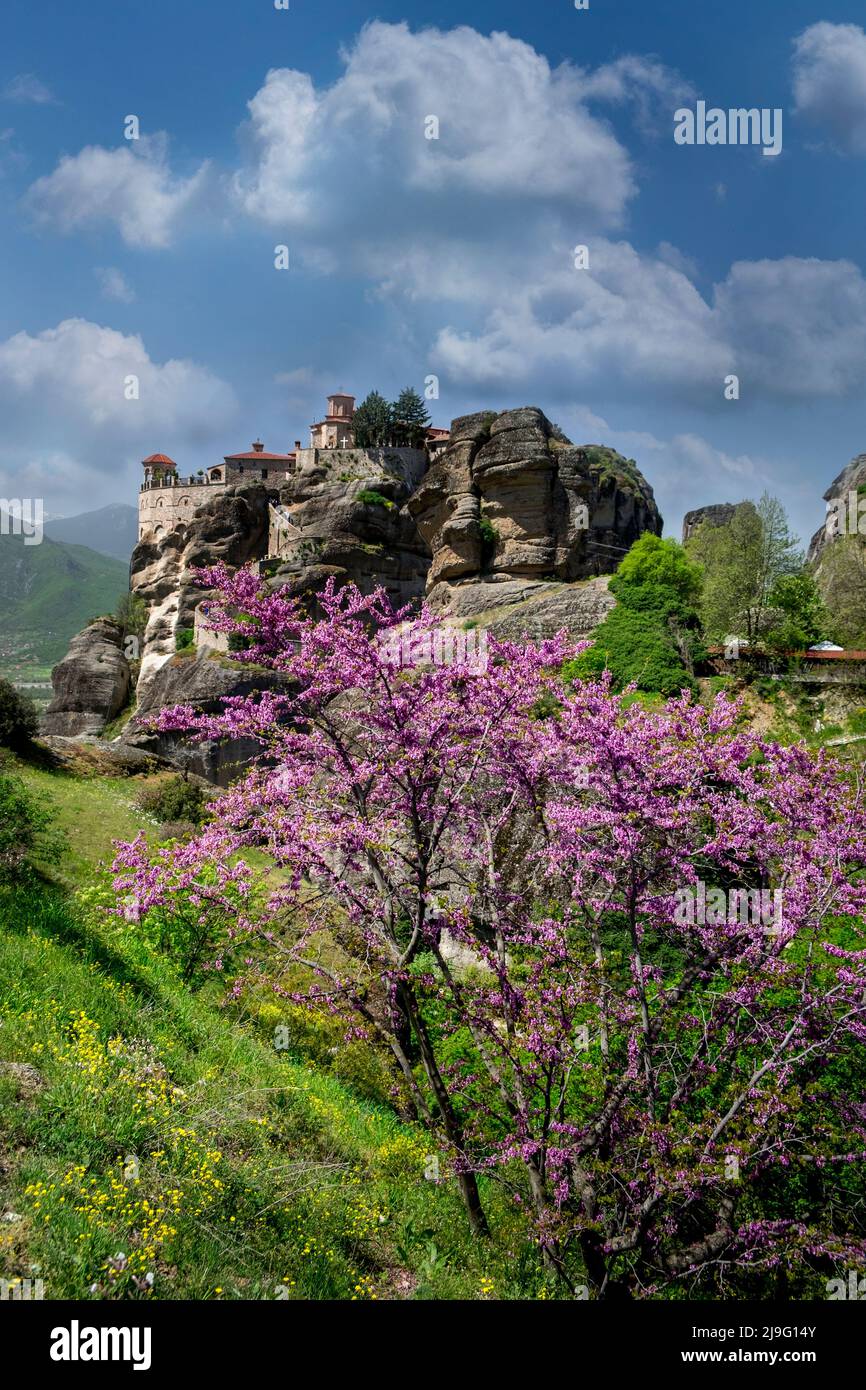 Paesaggio di monasteri greco-ortodossi con un albero beutiful con foglie rosa in primo piano Foto Stock