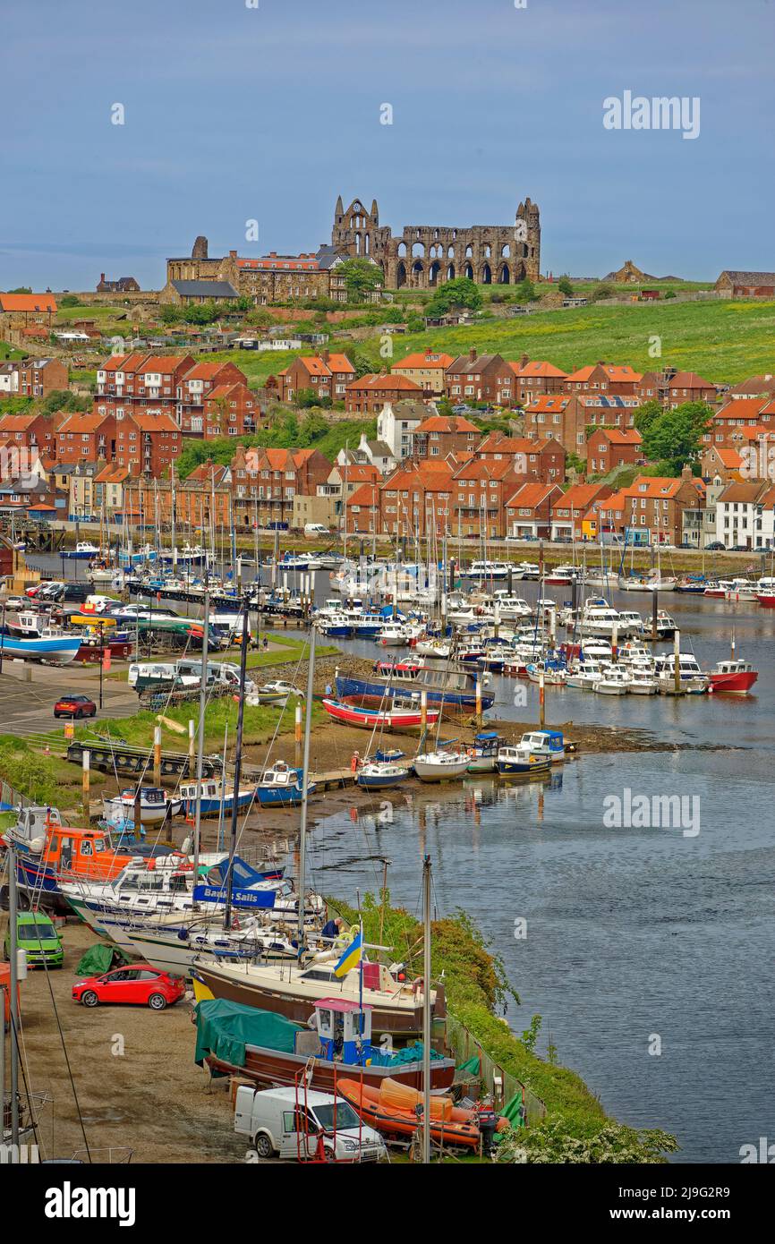 Whitby East Cliff con Whitby Abbey Beyond e Whitby marina sul fiume Esk in primo piano, North Yorkshire, Inghilterra. Foto Stock