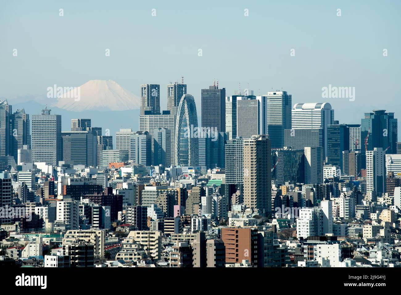 Grattacieli nel cortile Shinjuku di Tokyo con il Monte Fuji Foto Stock