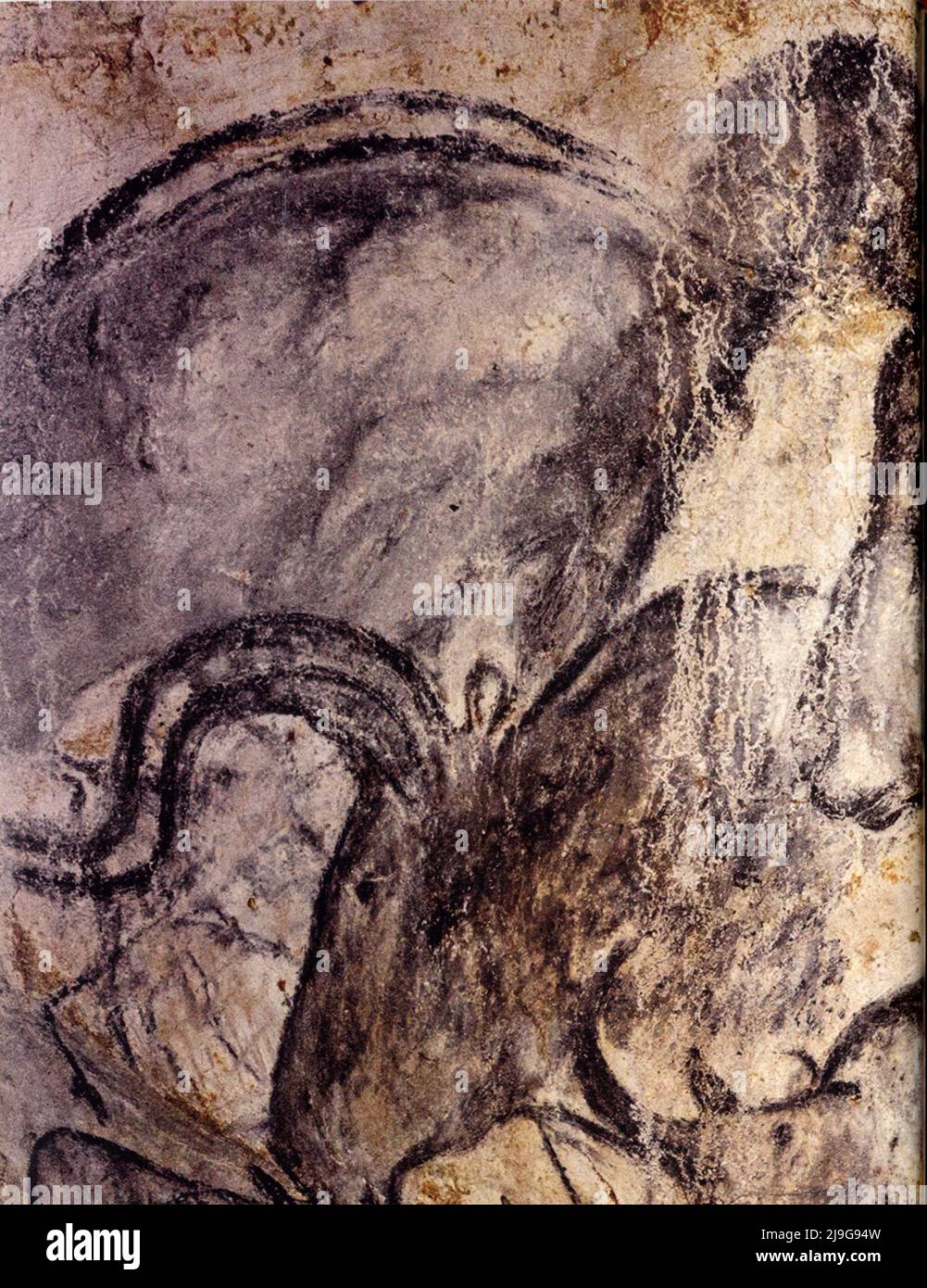 36000 ans avant J.C. La grotte Chauvet, prédateurs féroces, panneau des leons. Foto Stock