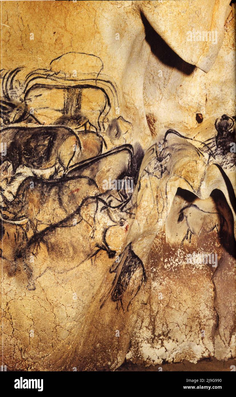 36000 ans avant J.C. La grotte Chauvet, prédateurs féroces, panneau des leons Foto Stock