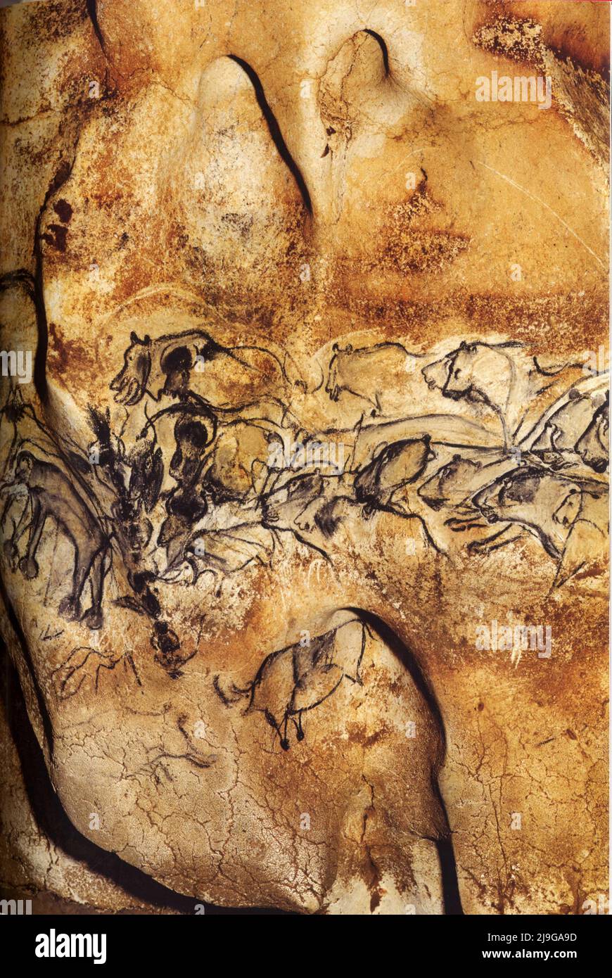 36000 ans avant J.C. La grotte Chauvet, prédateurs féroces, panneau des leons Foto Stock