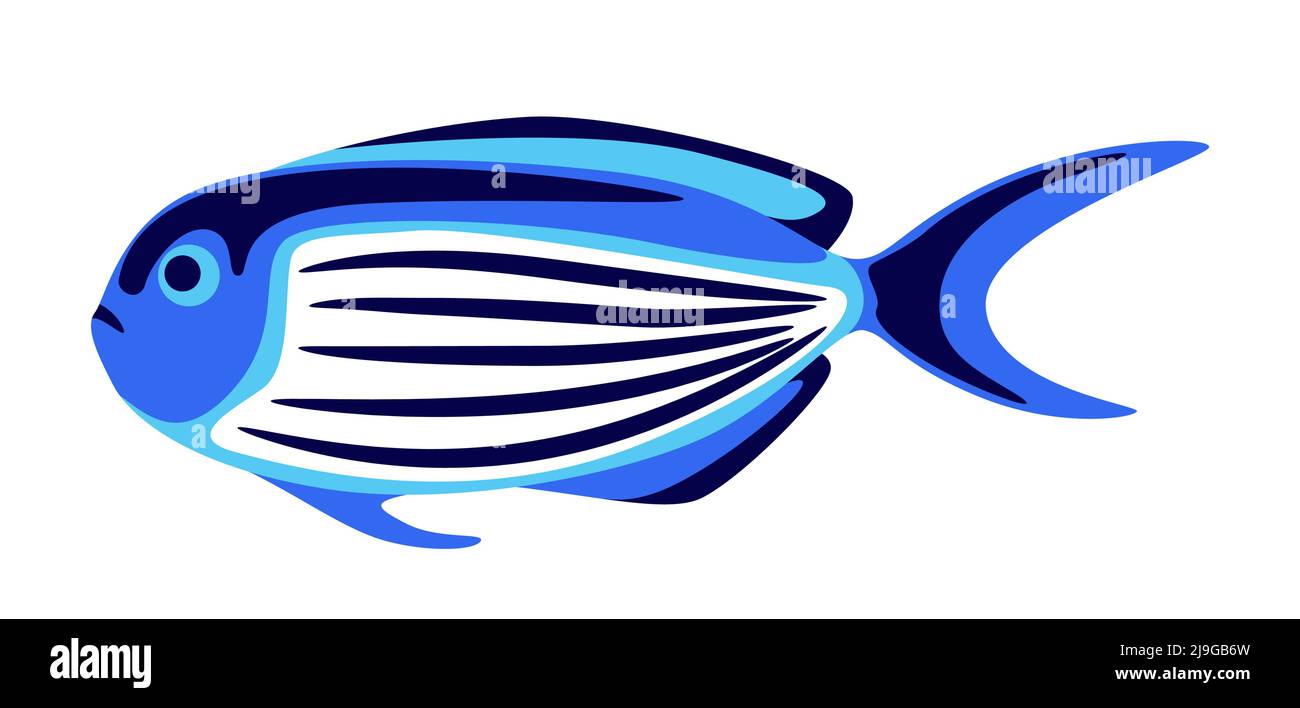 Illustrazione di pesce angelo tropicale. Acquario e animale marino. Immagine stilizzata con colori brillanti. Illustrazione Vettoriale