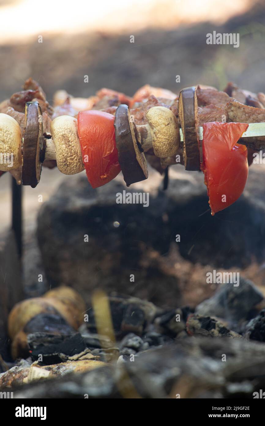 funghi fritti e pomodori con melanzane su spiedini sul fuoco nella foresta, verdure fritte sul fuoco, shashlik vegetale Foto Stock