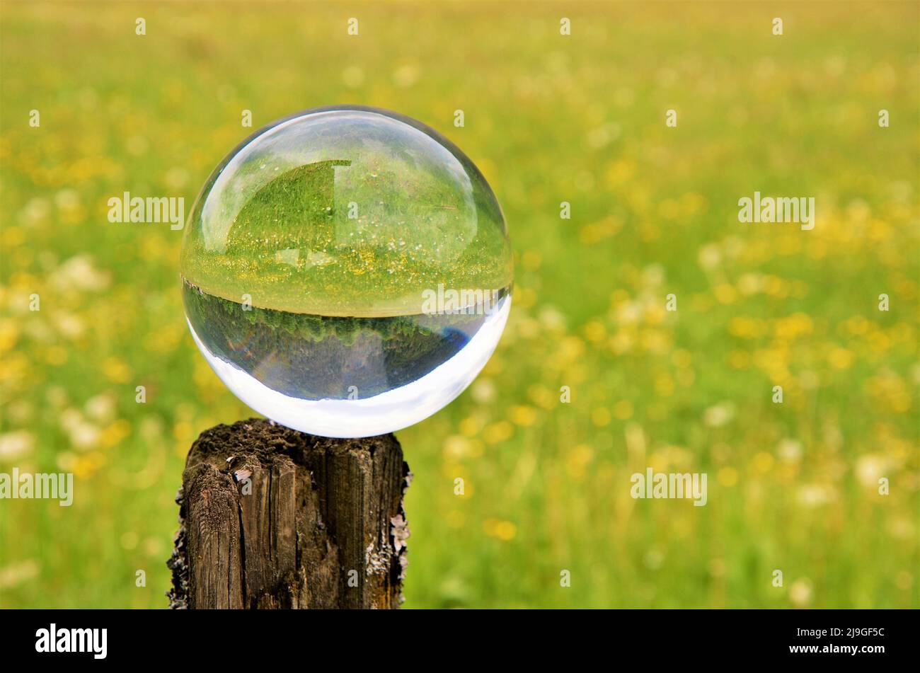 Fotografia con sfera di vetro Foto Stock