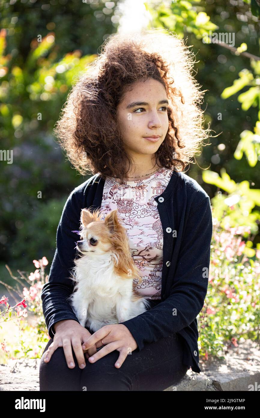 ritratto di una ragazza joung e la sua chihuahua Foto Stock