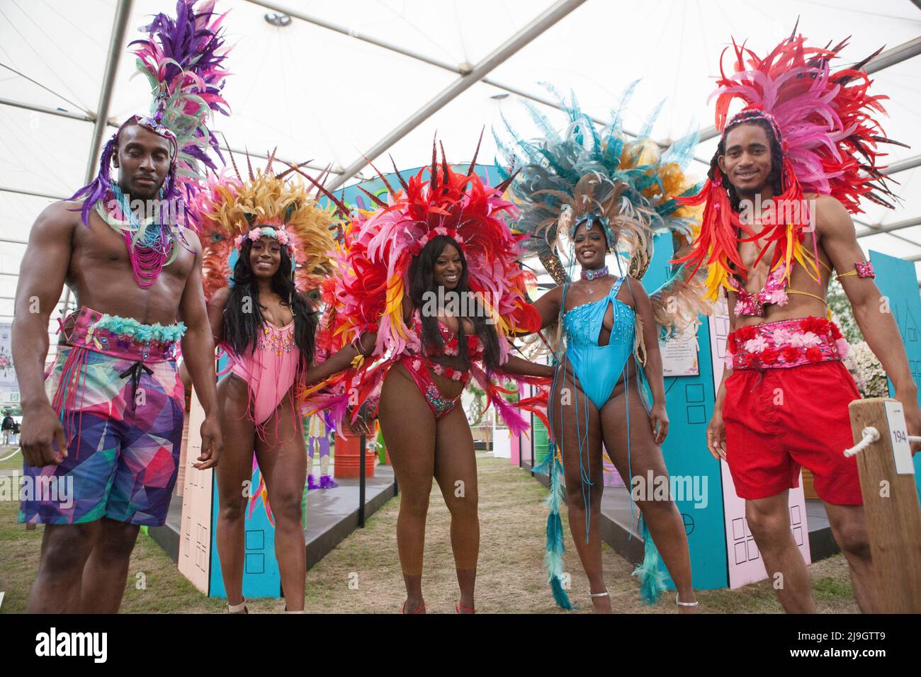 Londra, UK, 23 maggio 2022: Chelsea Flower Show preview day: ballerini di carnevale sullo stand Parigo alstroemeria. Anna Watson/Alamy Live News Foto Stock