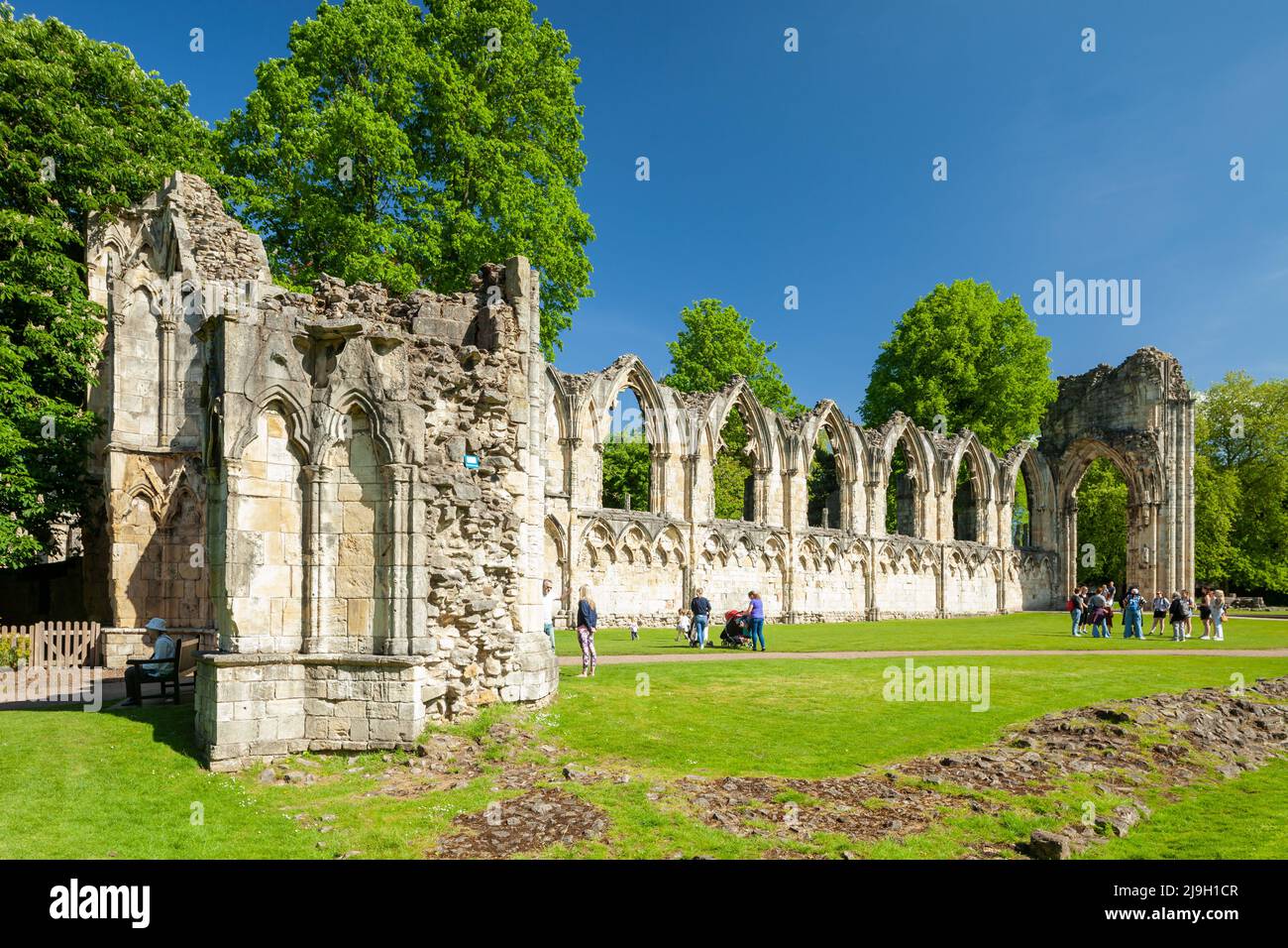 Mattinata di primavera alle rovine dell'abbazia di St Mary a Museum Gardens, York, Inghilterra. Foto Stock