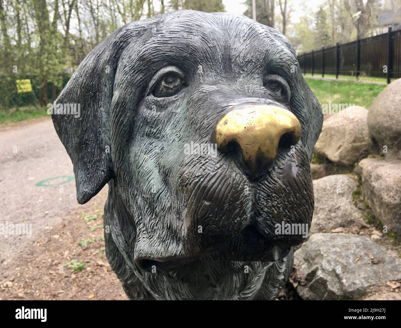 ZELENOGORSK, RUSSIA - 11 MAGGIO 2020: Primo piano scultura cane Foto Stock