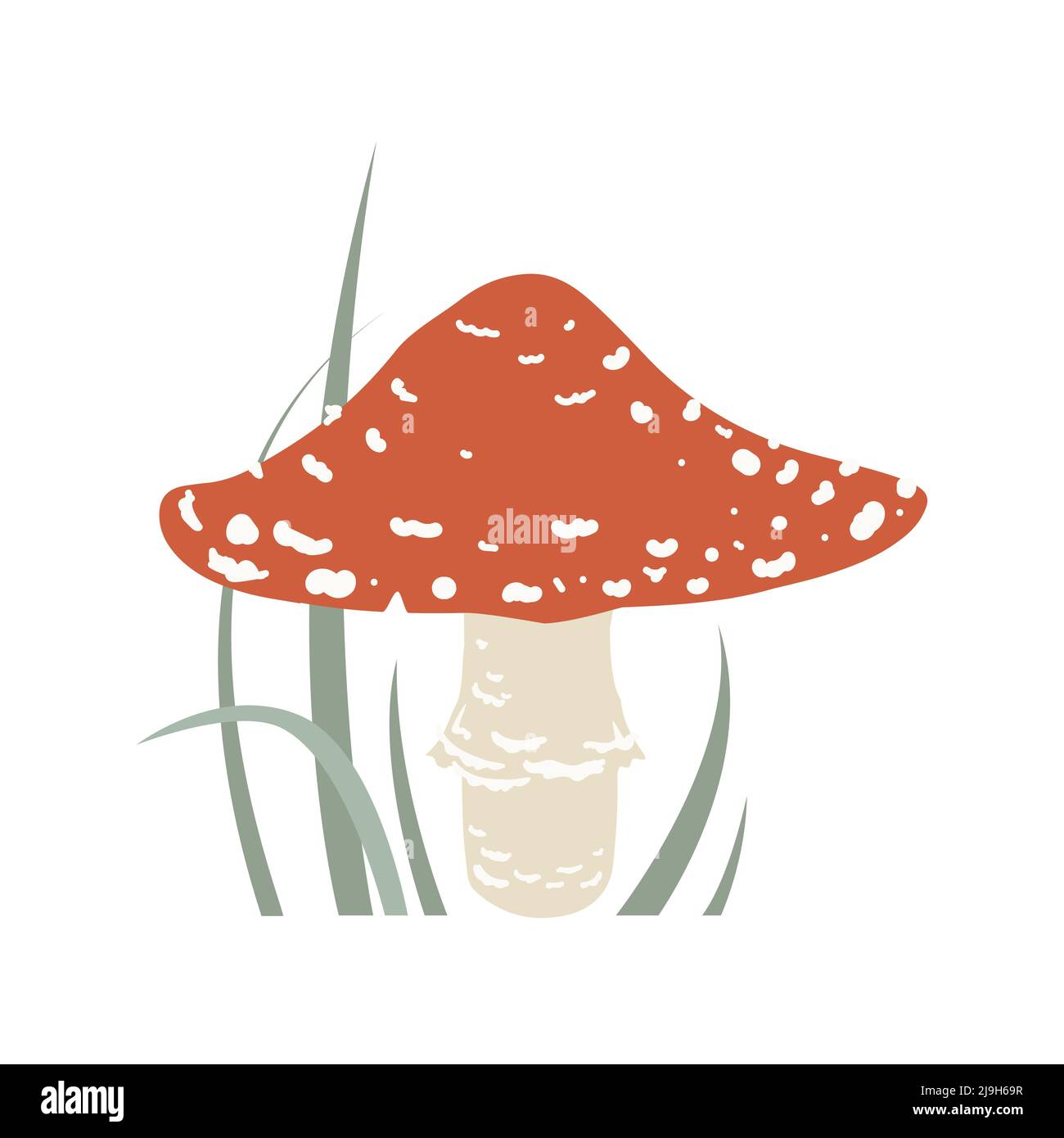 Carino mosca agarico in erba, foresta fungo velenoso. Illustrazione del vettore cartoon. Illustrazione Vettoriale