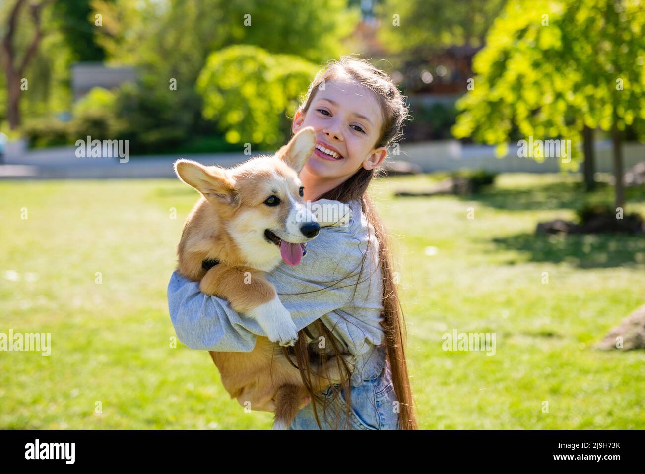 Ragazza che tiene il suo cucciolo di corgi tra le braccia. Una ragazza gioca con il suo cucciolo di corgi su un prato verde in una giornata di sole. Foto Stock