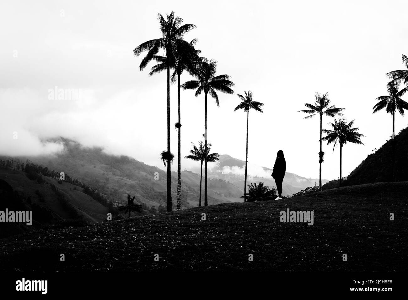 Donna turistica nella valle di Cocora nelle palme da cera vicino al Salento Quindio, Colombia Foto Stock