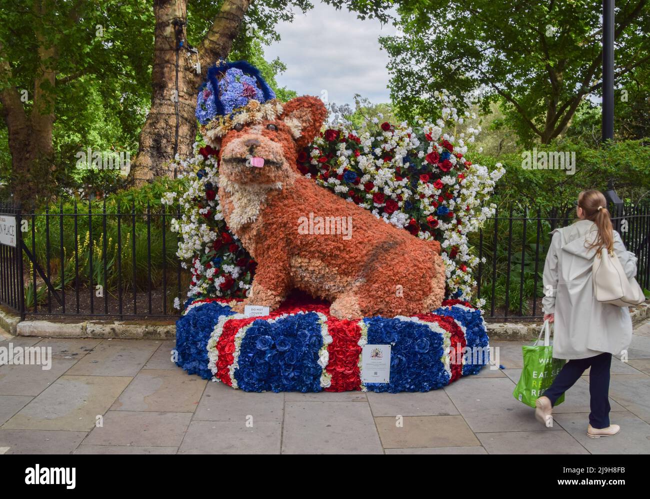 Londra, Regno Unito. 23rd maggio 2022. 'Clarence The Corgi' mostra di fiori su Sloane Street, parte della mostra d'arte floreale gratuita Chelsea in Bloom. Negozi, hotel e ristoranti nell'area di Chelsea a Londra partecipano al concorso annuale e il tema 2022 è "icone britanniche". Credit: Vuk Valcic/Alamy Live News Foto Stock