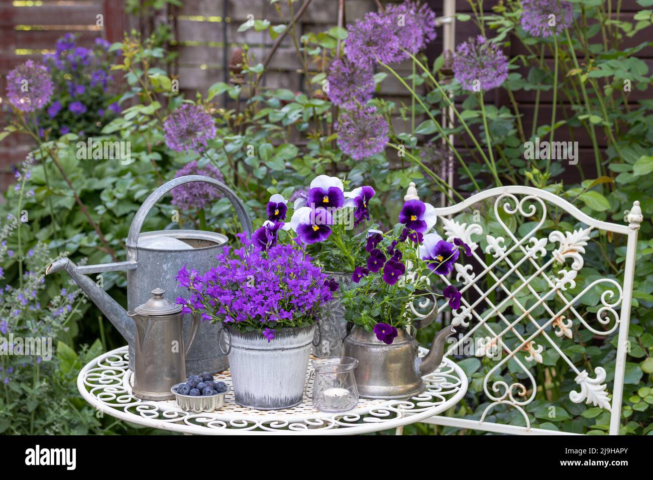 decorazioni da giardino con fiori di campanella e viola in vasi d'epoca Foto Stock