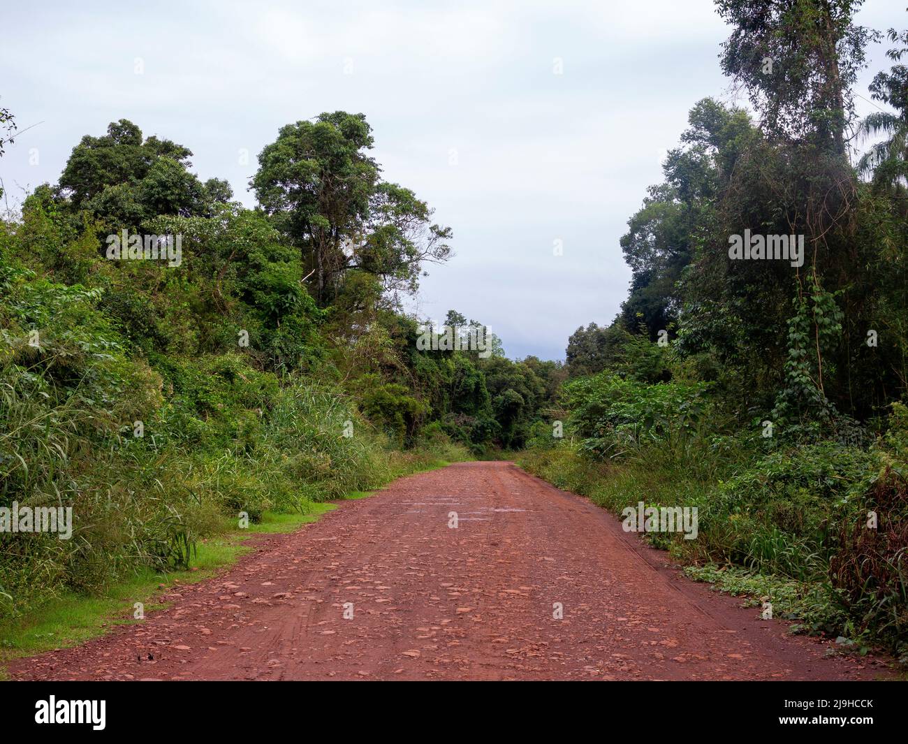 Strada sporca che attraversa il Parco Nazionale di Iguazu, Argentina Foto Stock