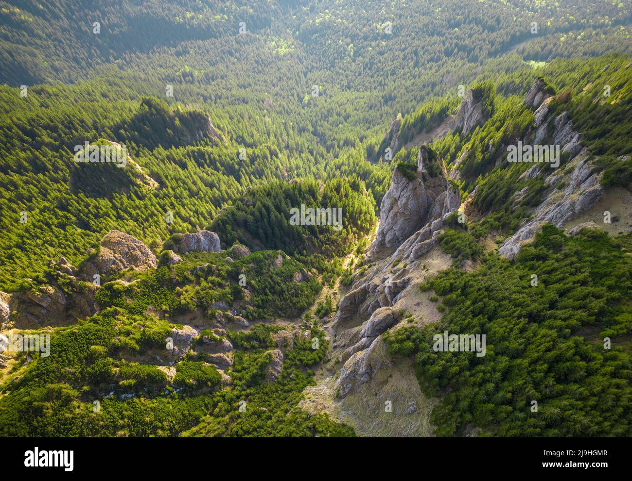Rocce grandi in paesaggio di montagna. Scena selvaggia in Carpazi rumeni Foto Stock