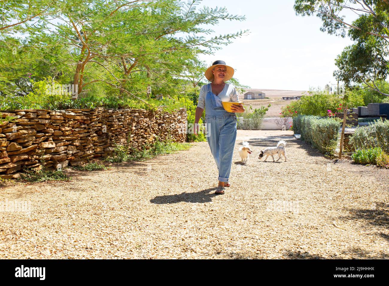 Donna con cani che camminano sul sentiero in giardino Foto Stock