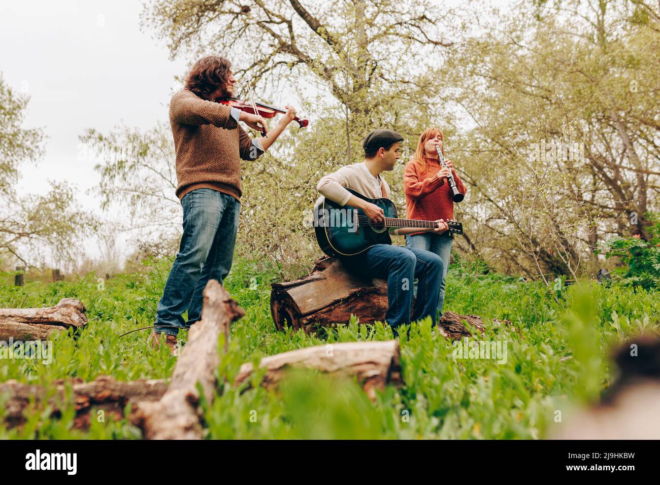 Musicisti che suonano strumenti musicali sul campo Foto Stock