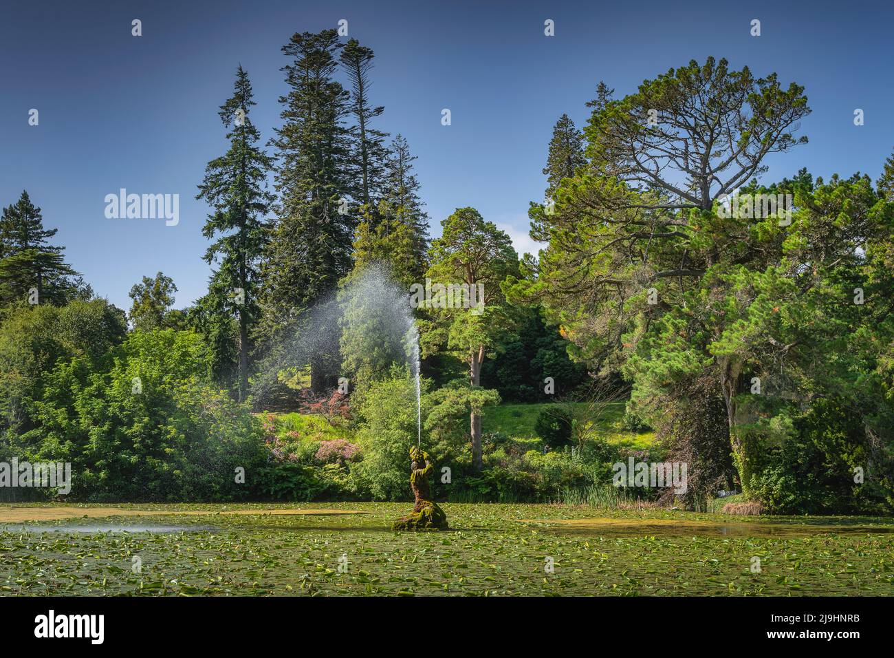 Acqua gushing fuori dalla fontana coperta di muschio, situato nel laghetto coperto di gigli d'acqua, Powerscourt giardini, Enniskerry, Wicklow, Irlanda Foto Stock