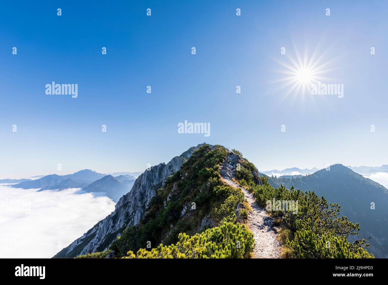 Germania, Baviera, sole estivo che splende sulla cima del monte Herzogstand Foto Stock