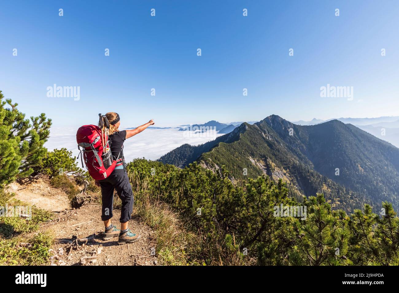 Germania, Baviera, escursionista femminile in piedi alla cima di Heimgarten con il ritorno a Herzogstand Foto Stock
