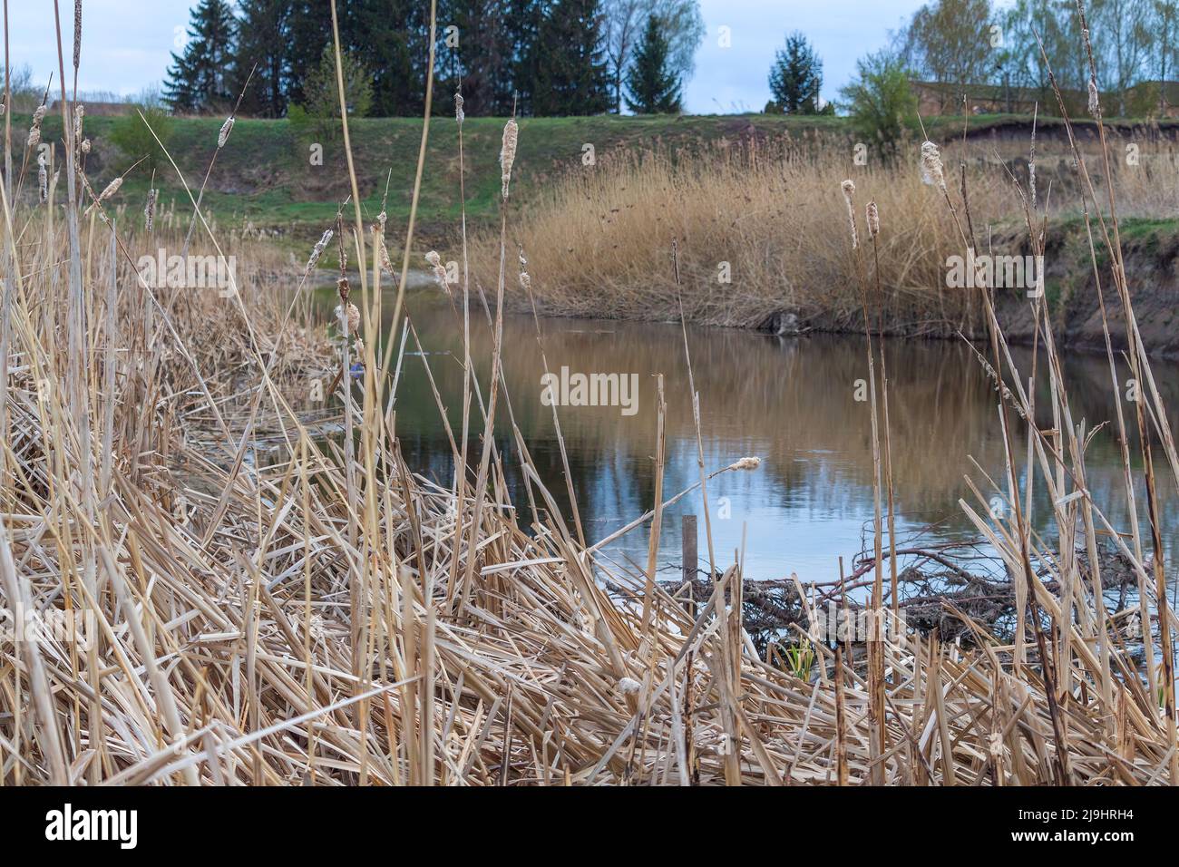 fiume in un villaggio in Ucraina. Il fiume Ikva nella regione di Rivne, Ucraina Foto Stock
