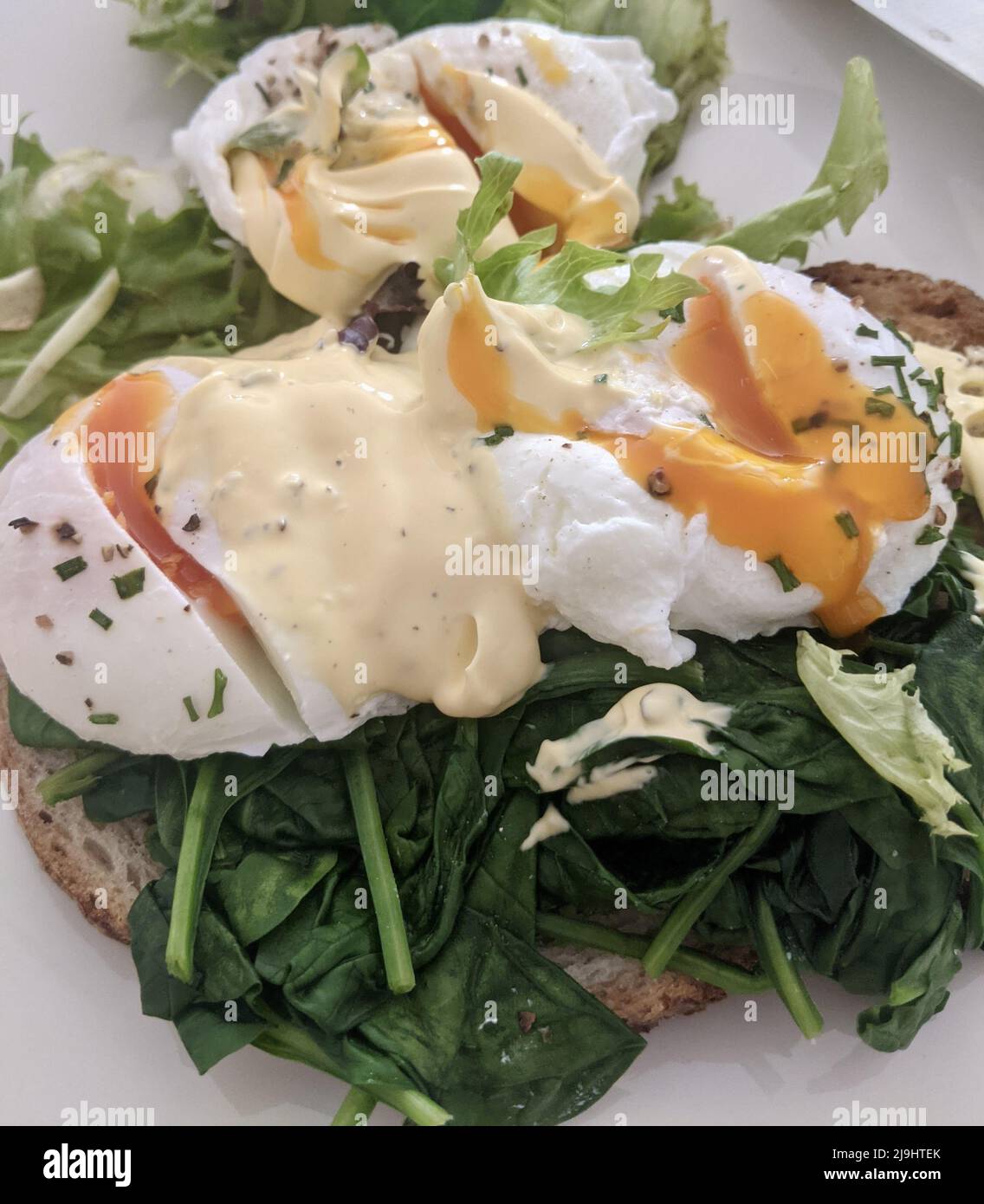 Uova fatte in casa fiorentine - uovo in camicia con salsa di ollandaise su spinaci e pasta madre. Un tipico brunch del fine settimana. Foto Stock